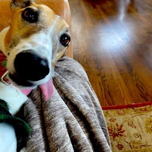 Meet your Posher, Kathryn